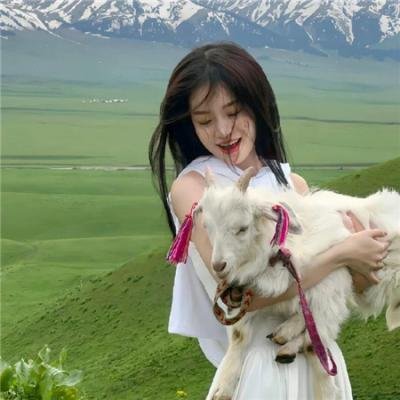 龟女士的奥德赛